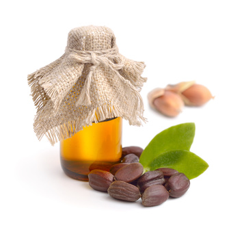 Jojoba Oil, leaves, seeds with oil.