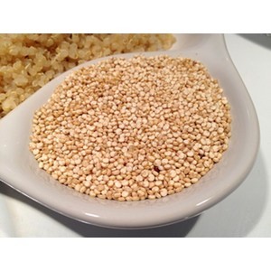 quinoa-protein-2